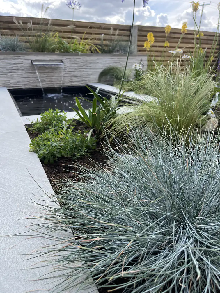 Blue fescue grasses tumbling over a porcelain pond edge with the waterfall beyond, texture-rich contemporary planting.