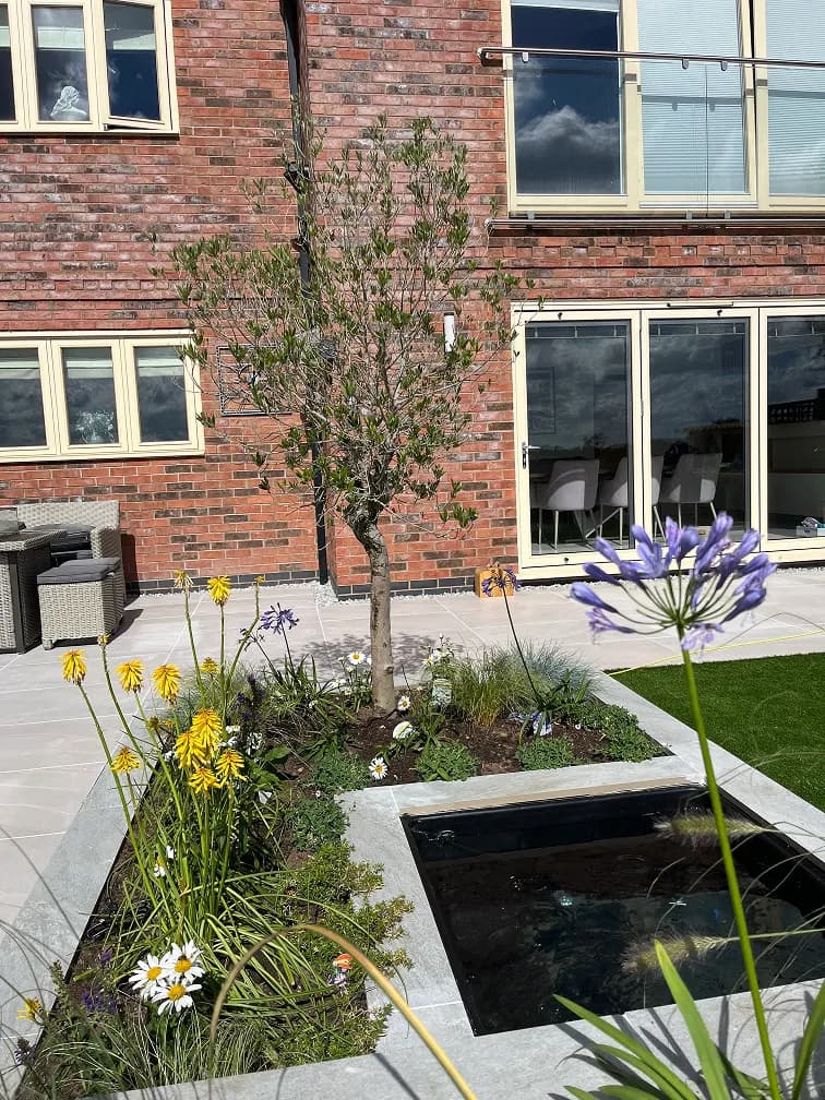 Contemporary water feature with porcelain edging and ornamental planting in a Leicester garden.