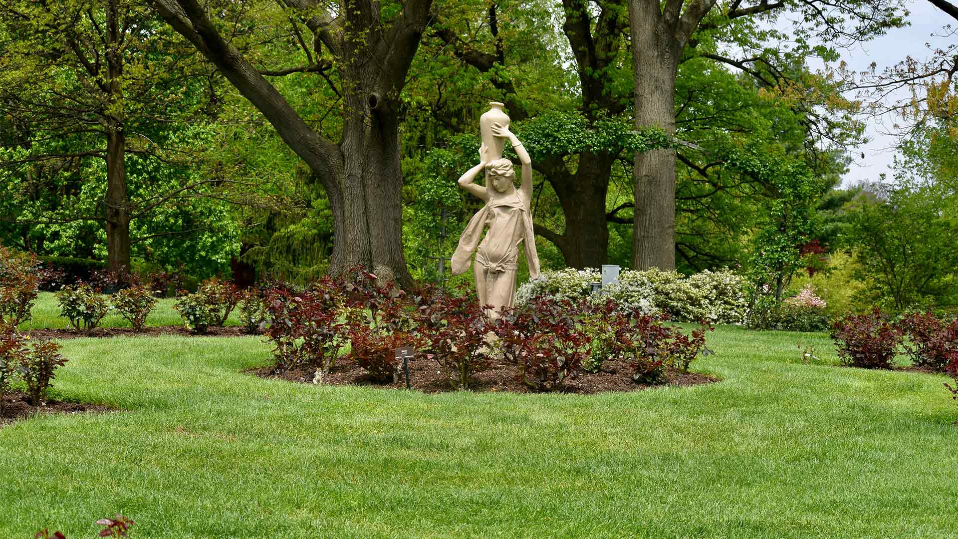 Garden Background