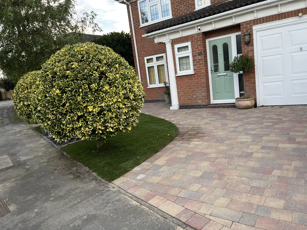 Brindle block paved driveway wrapping around golden topiary and lawn, low-maintenance parking softened with mature planting.