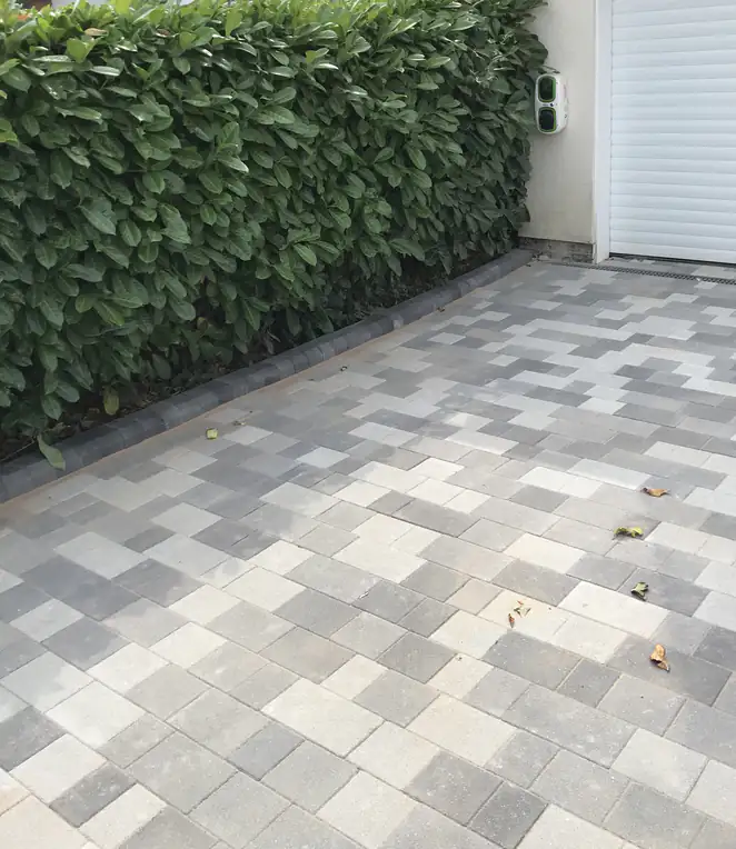 Mixed-tone grey block paving laid to a rear entrance beneath a clipped laurel hedge, crisp and practical.