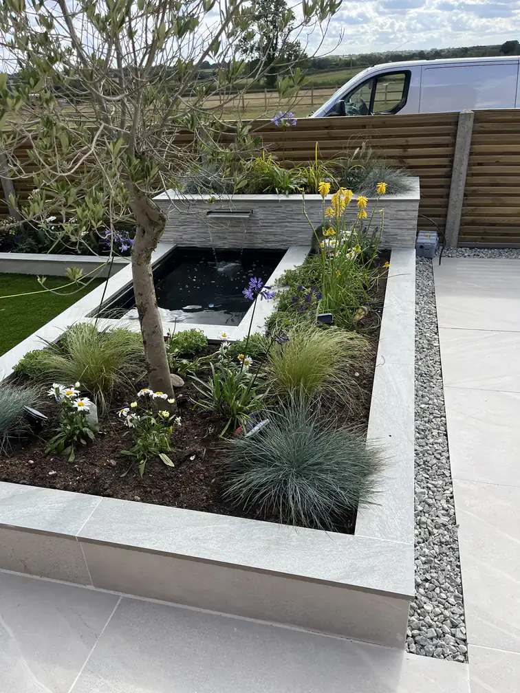 Completed contemporary garden with porcelain raised planter, olive tree and pond edged by a neat gravel drainage strip.