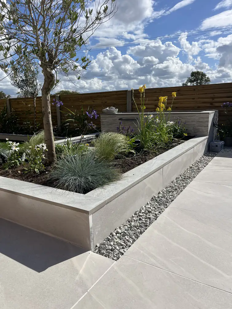 Porcelain raised beds planted with an olive tree and irises beside a smooth paved patio, Mediterranean styling made easy.