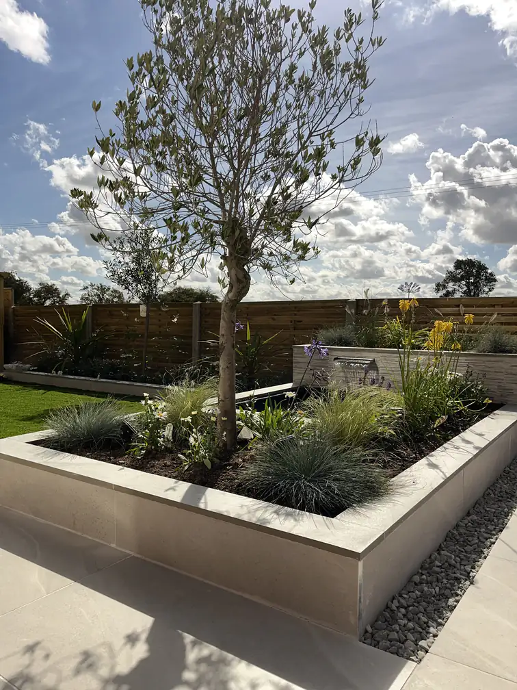 Contemporary raised planter softened with blue fescue grasses and white perennials above a pebble drainage border.
