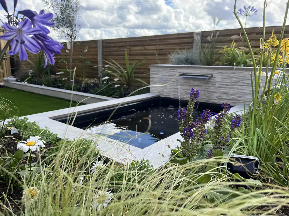 Contemporary pond viewed through purple agapanthus and salvias, cottage-style colour against clean modern lines.